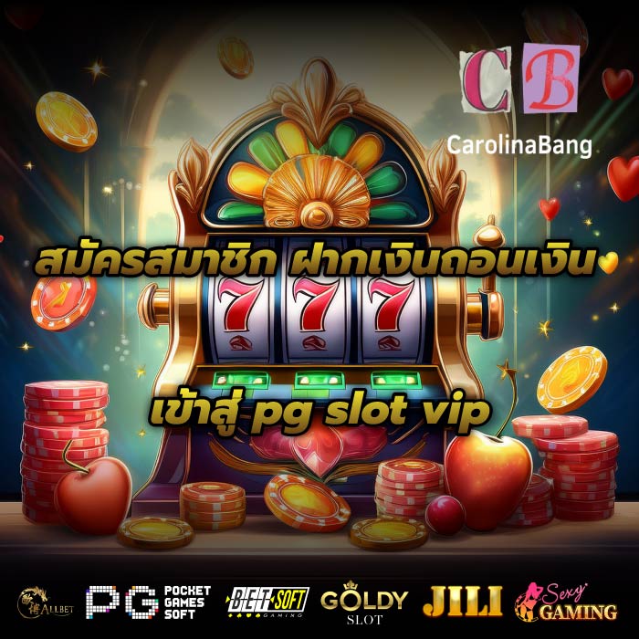 สมัครสมาชิก ฝากเงินถอนเงิน เข้าสู่pg slot vip