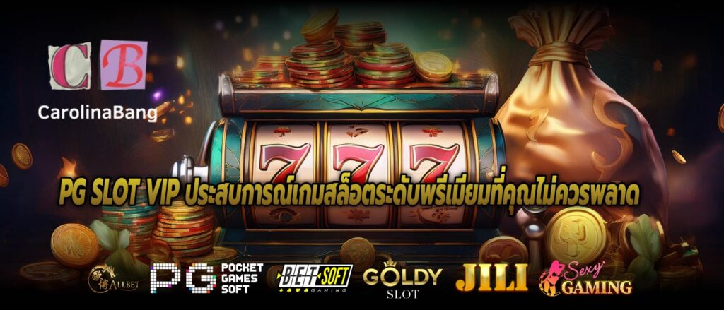 PG SLOT VIP ประสบการณ์เกมสล็อตระดับพรีเมียมที่คุณไม่ควรพลาด